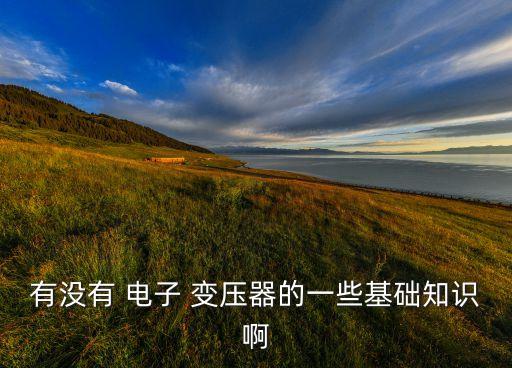 2016年電子變壓器行業分析...